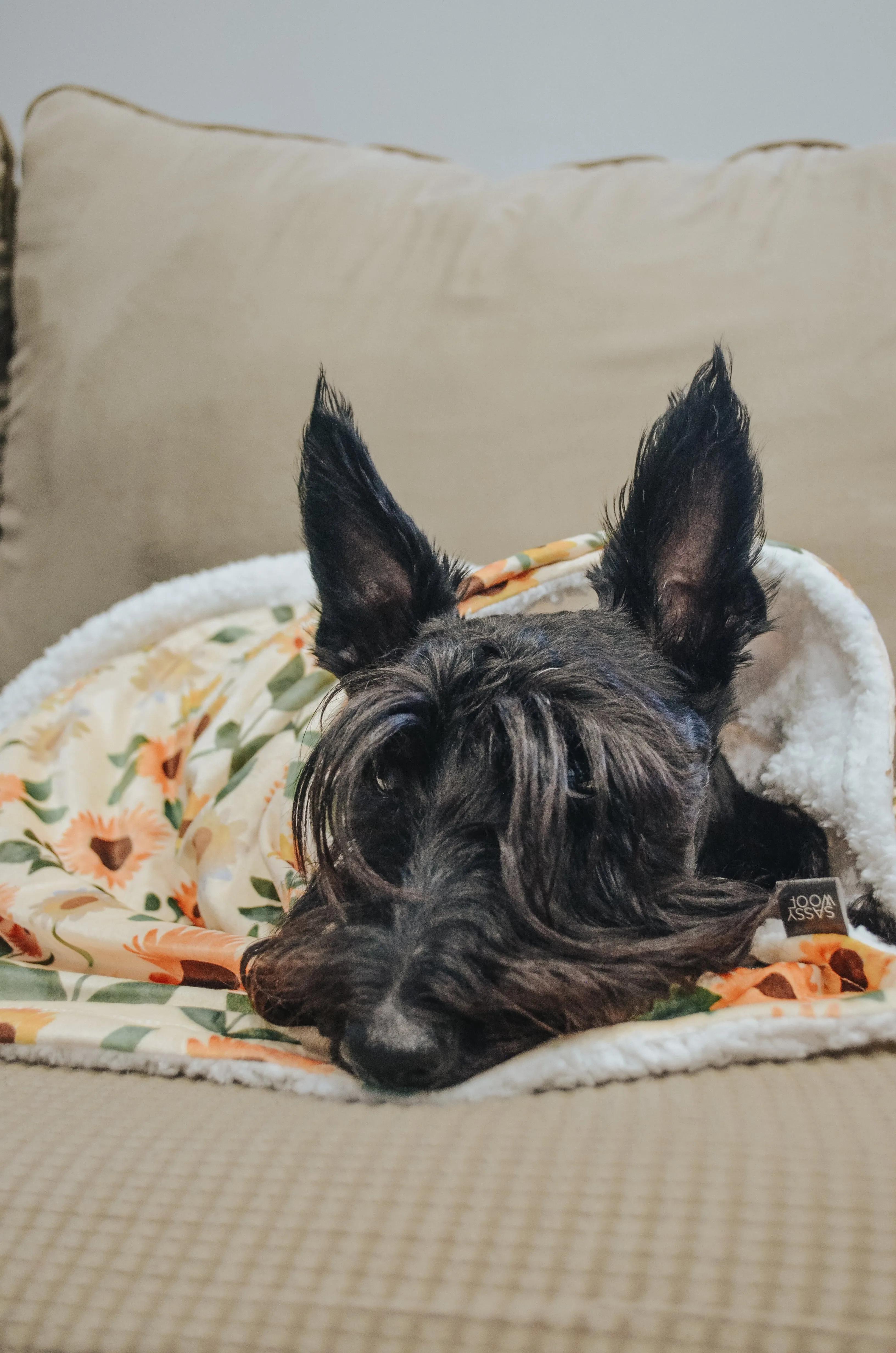 Pet Blanket - Sunflower Dreams